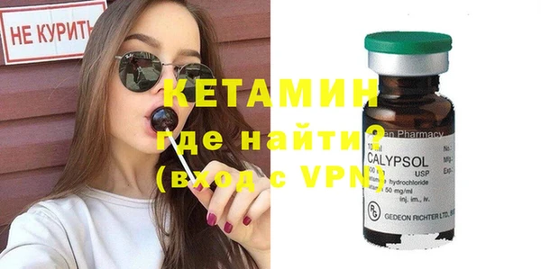 индика Гусь-Хрустальный