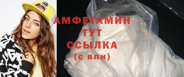 индика Гусь-Хрустальный
