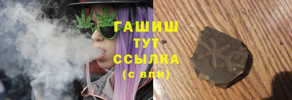индика Гусь-Хрустальный