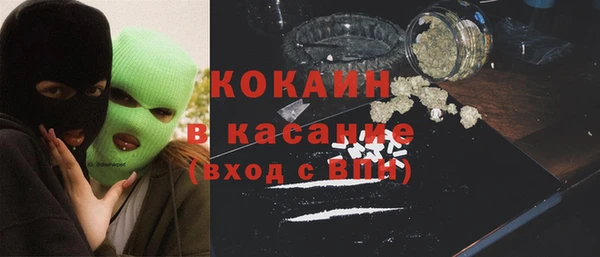ешки Гусев