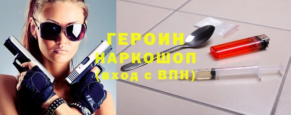 индика Гусь-Хрустальный