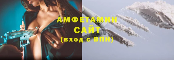 индика Гусь-Хрустальный