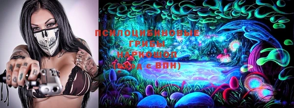 ешки Гусев