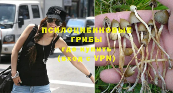 ешки Гусев