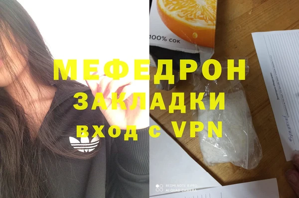 индика Гусь-Хрустальный