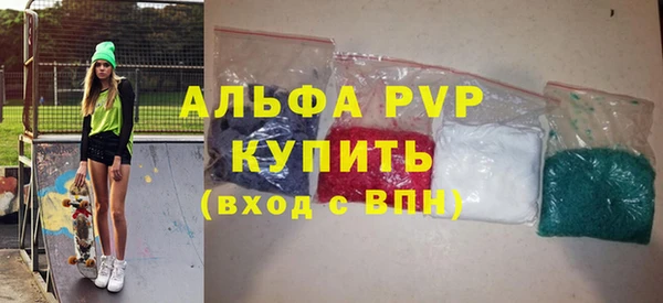 индика Гусь-Хрустальный