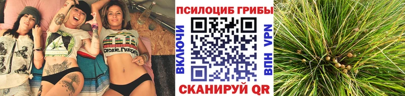 Купить  Гусь-Хрустальный  Псилоцибиновые грибы ЛСД 