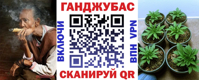 Купить закладки  Гусь-Хрустальный  Конопля MAZAR 